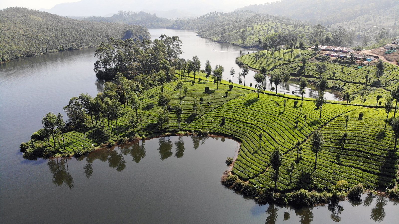 about-munnar