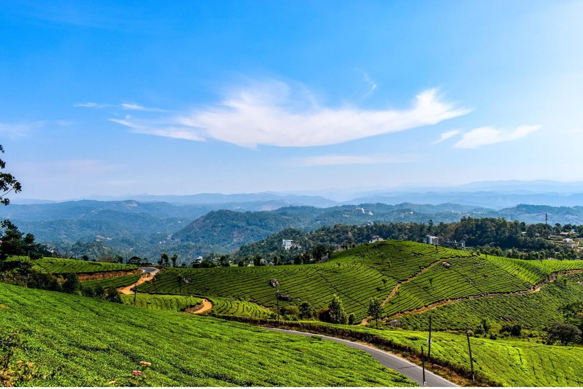 munnar-1