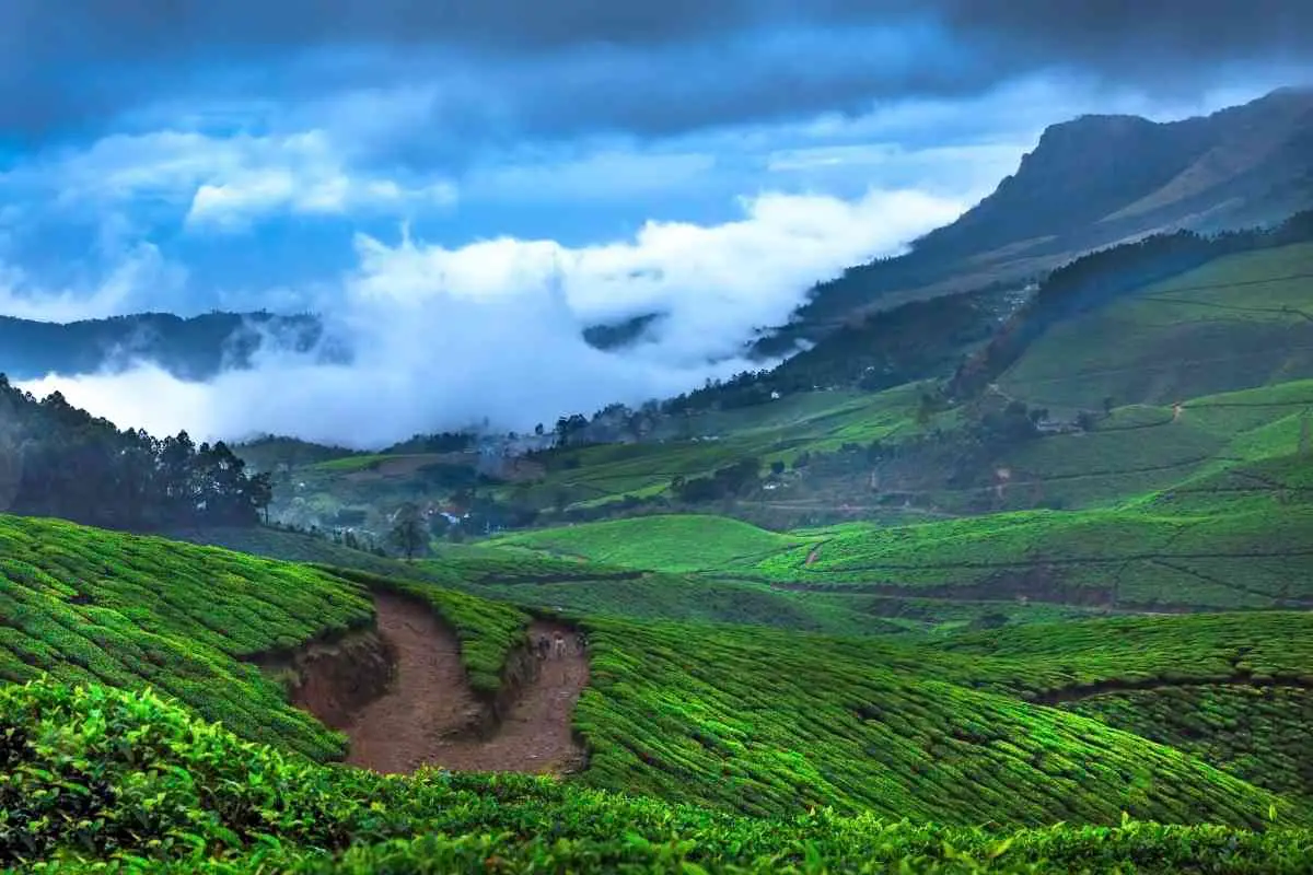 munnar-tourist-places-1