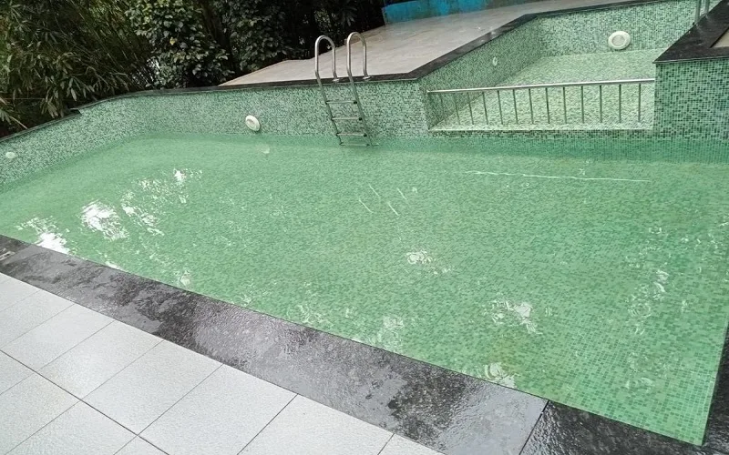 Misty Morning Resorts Wayanad (4)