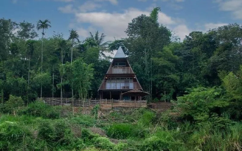 Misty Morning Resorts Wayanad (8)