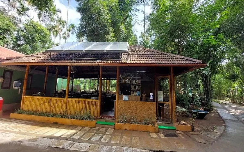 Misty Morning Resorts Wayanad (9)