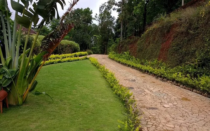 Banasura Hill Resort Wayanad