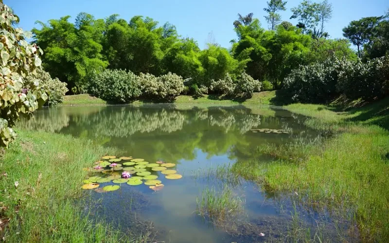 Kadkani River Resort