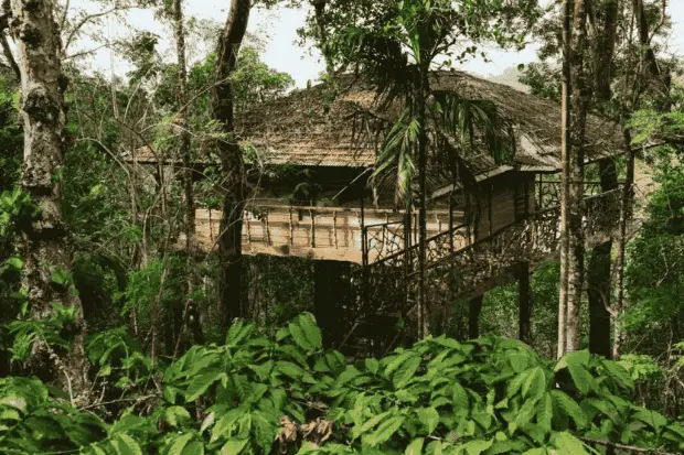 Best Travel And Tourism Agency In Kerala